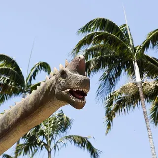 thumbnail for publication: Palm Pest Management